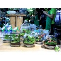 Workshop Terrarium 26.02.23