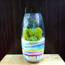 Terrarium Lọ Cát màu