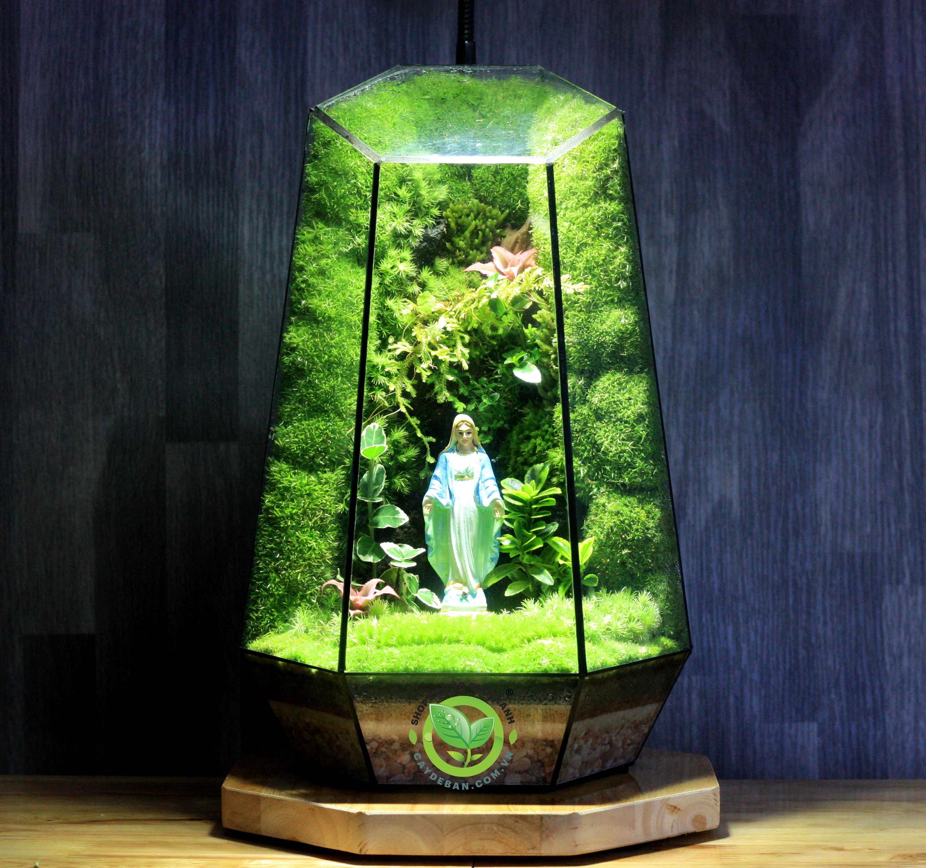 Terrarium Giáng Sinh MS01