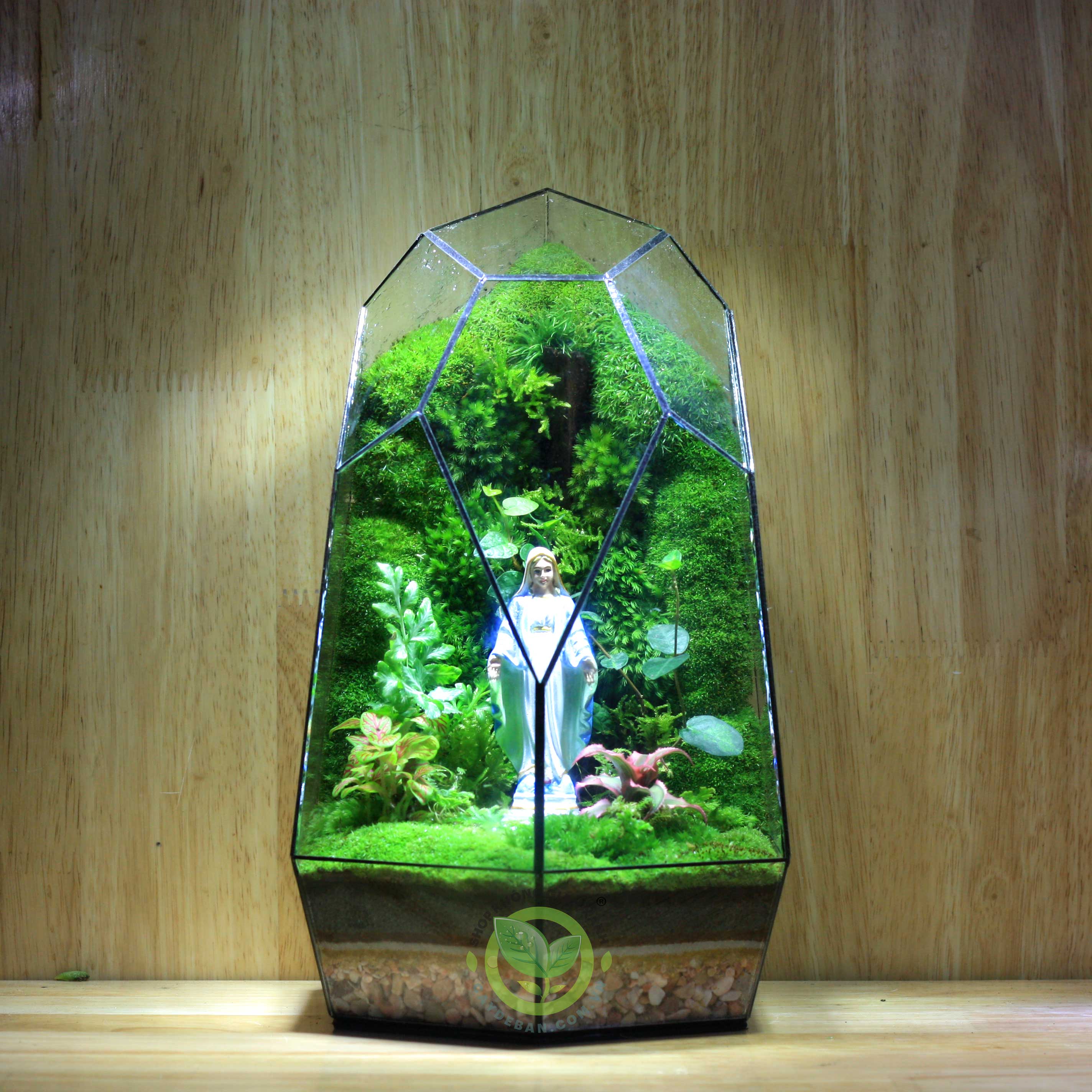 Terrarium Giáng Sinh MS21