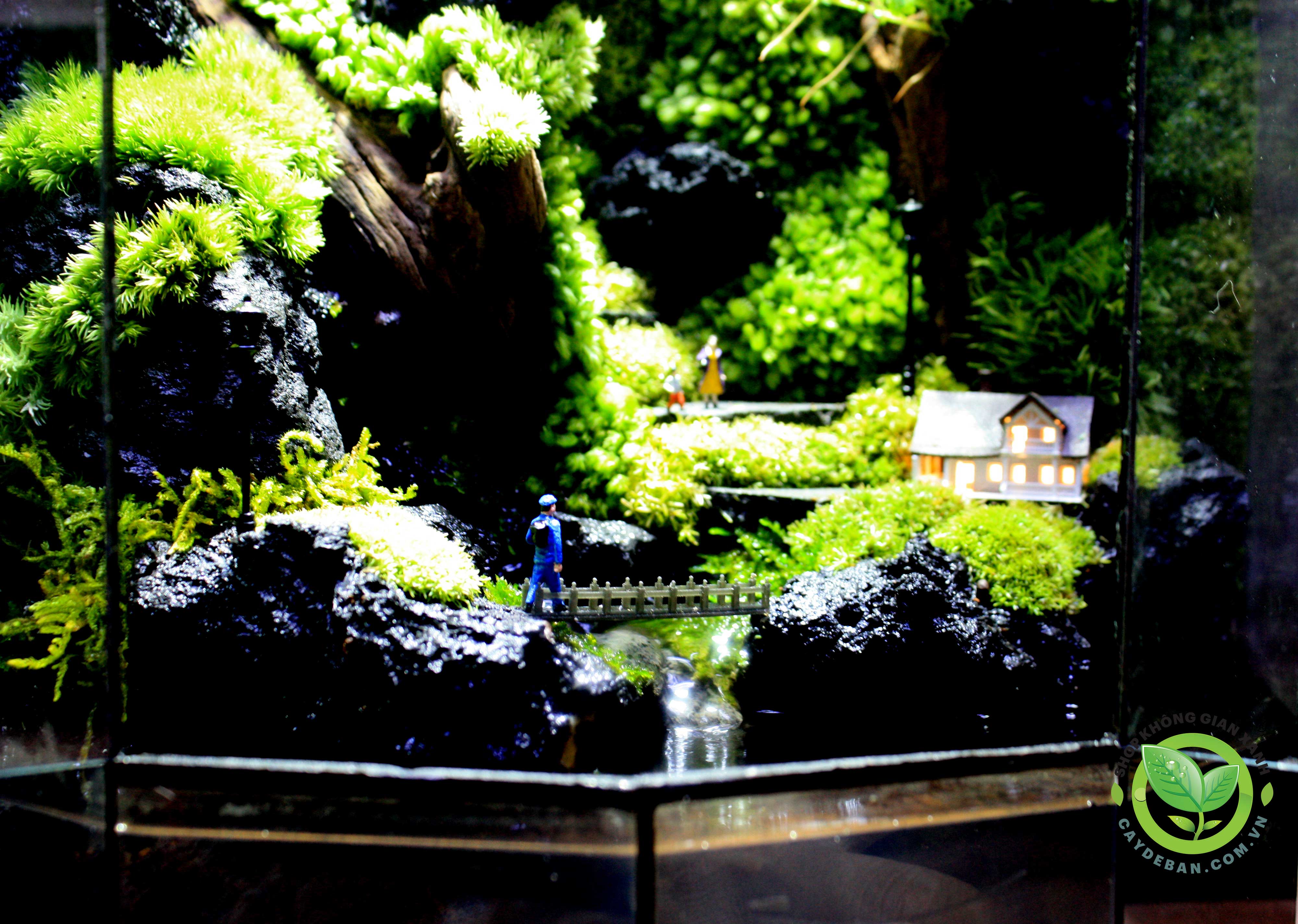 Paludarium-Family-Home