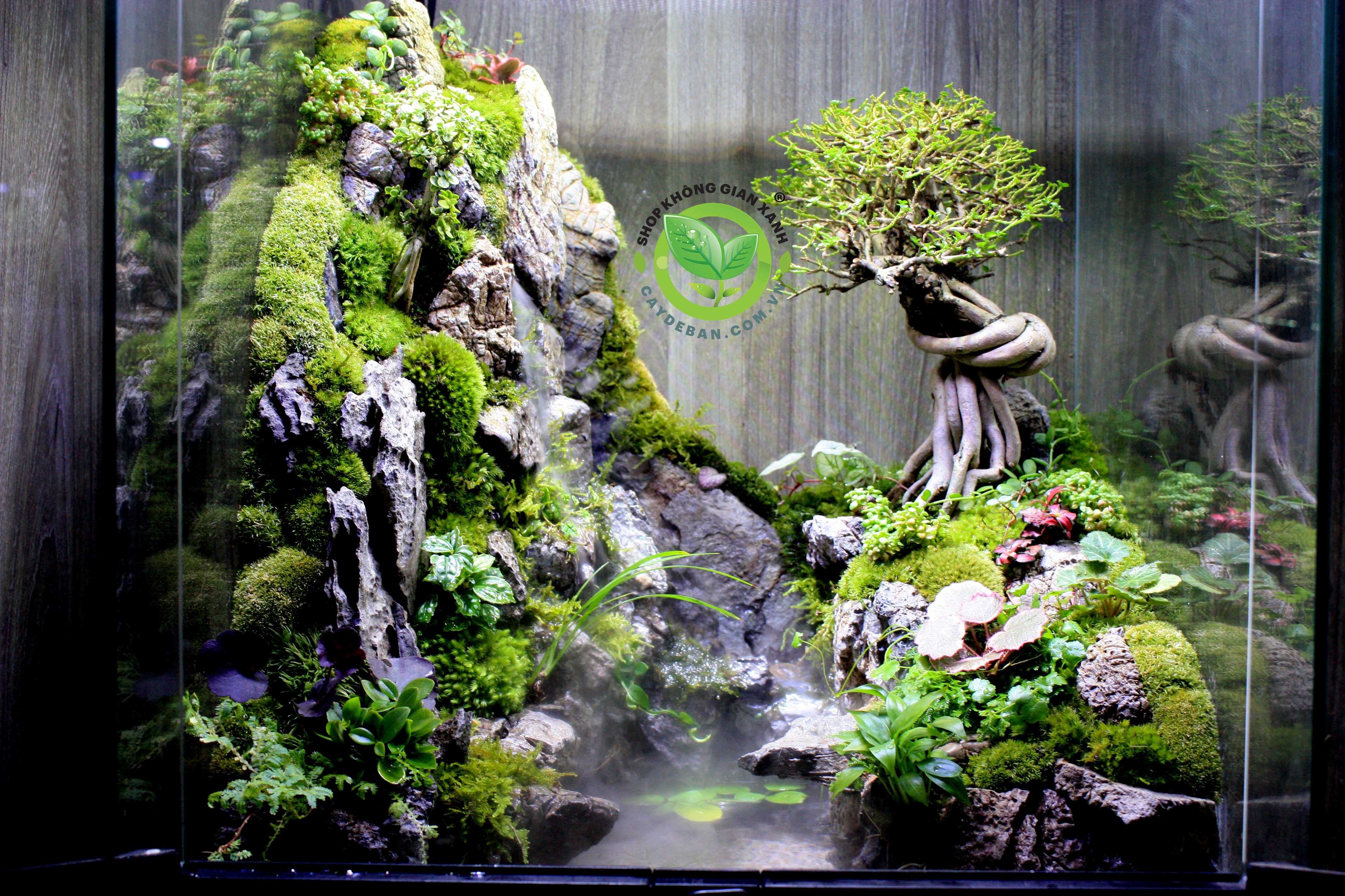 Paludarium - Bán cạn Sơn Thuỷ 45.45.60