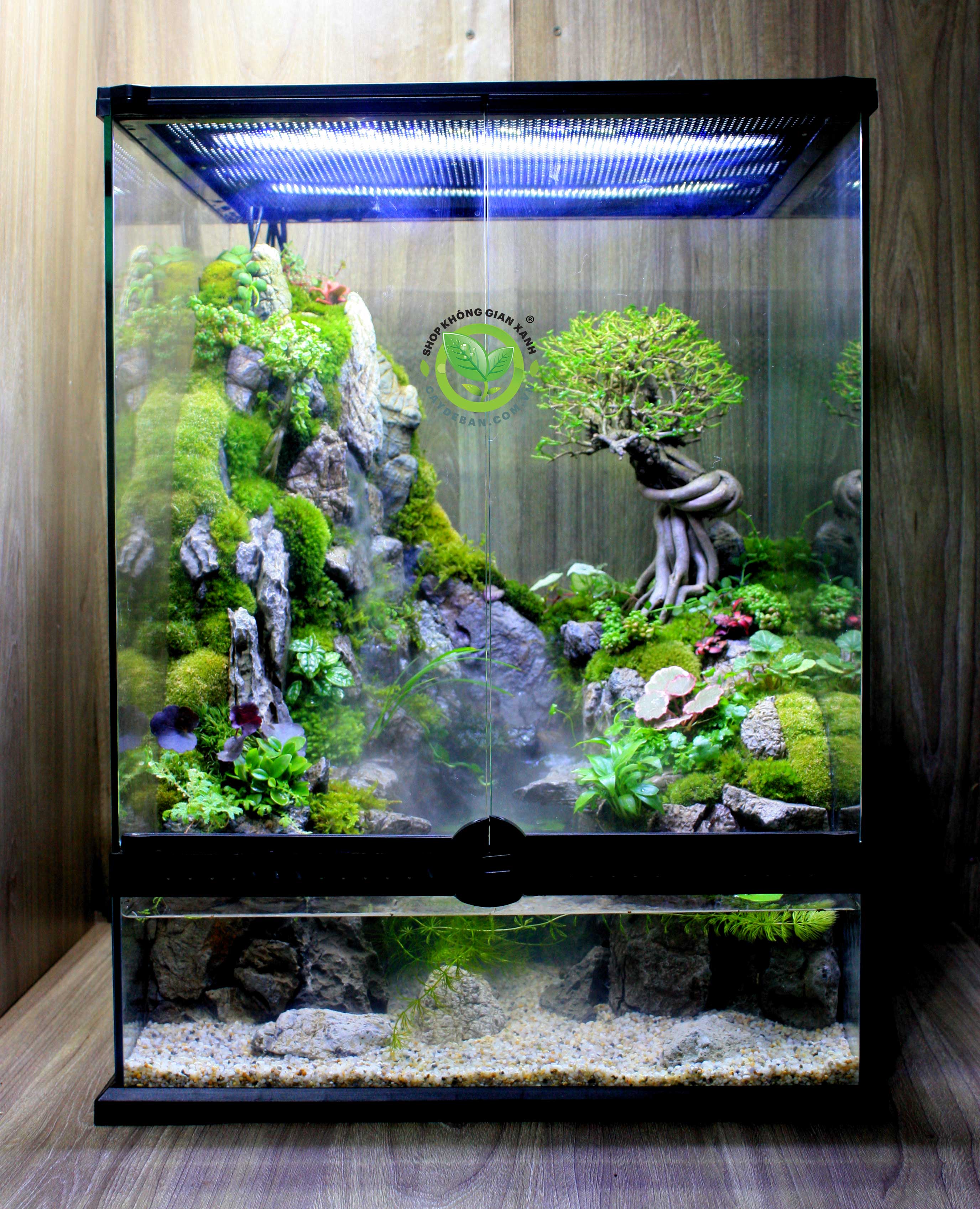 Paludarium - Bán cạn Sơn Thuỷ 45.45.60