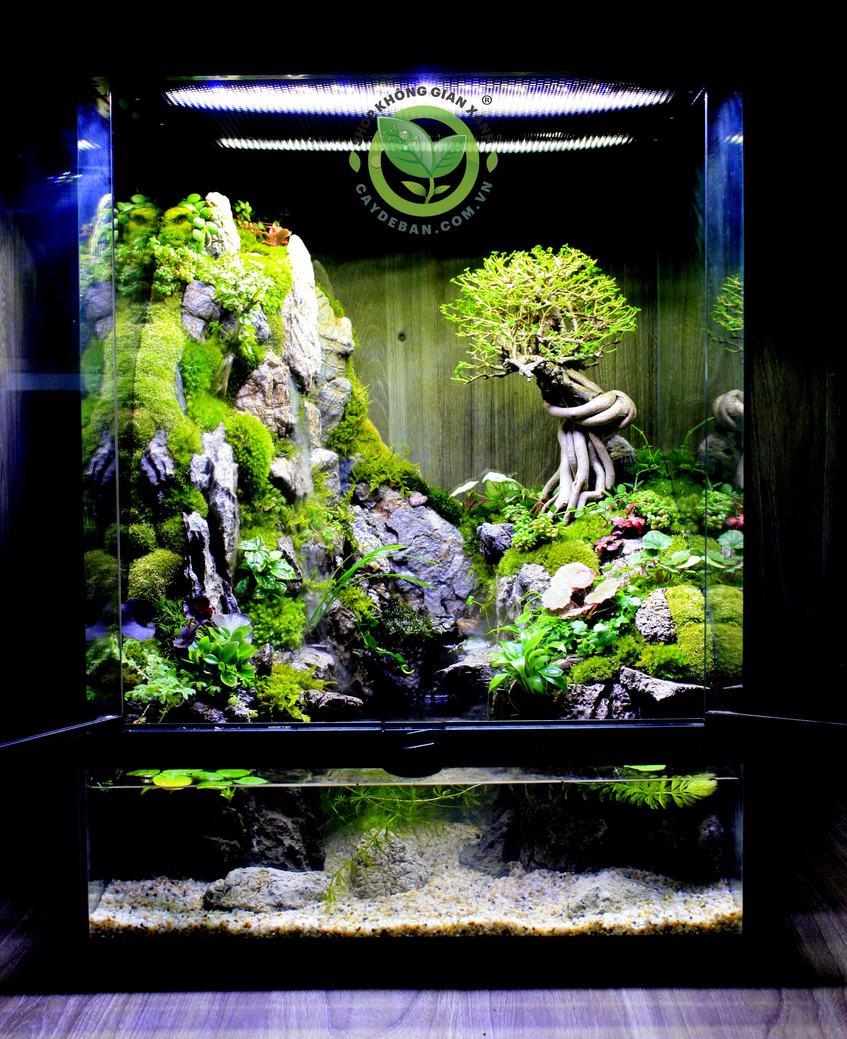 Paludarium - Bán cạn Sơn Thuỷ 45.45.60