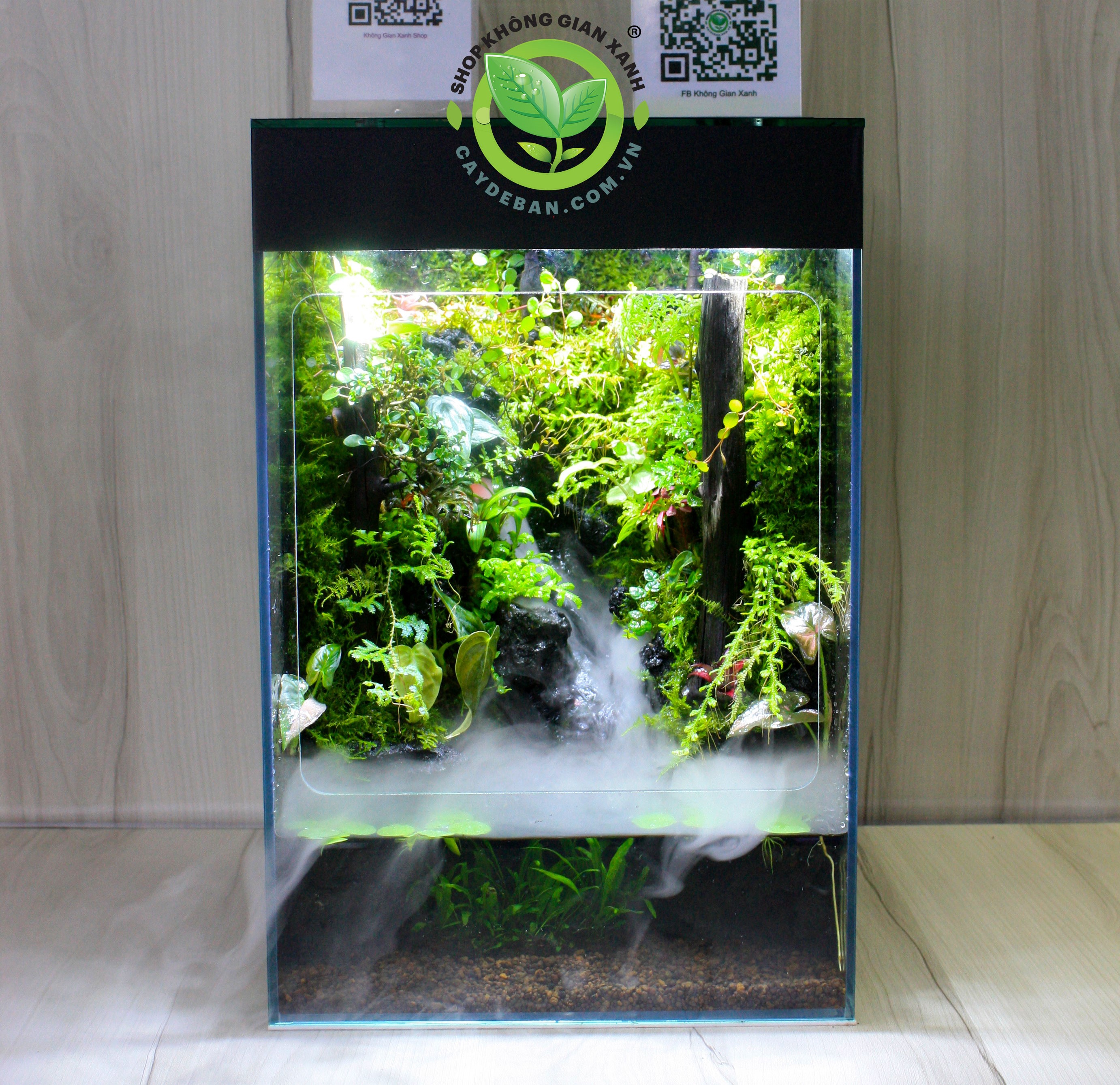 Paludarium Rainforet - Rừng mưa bán cạn