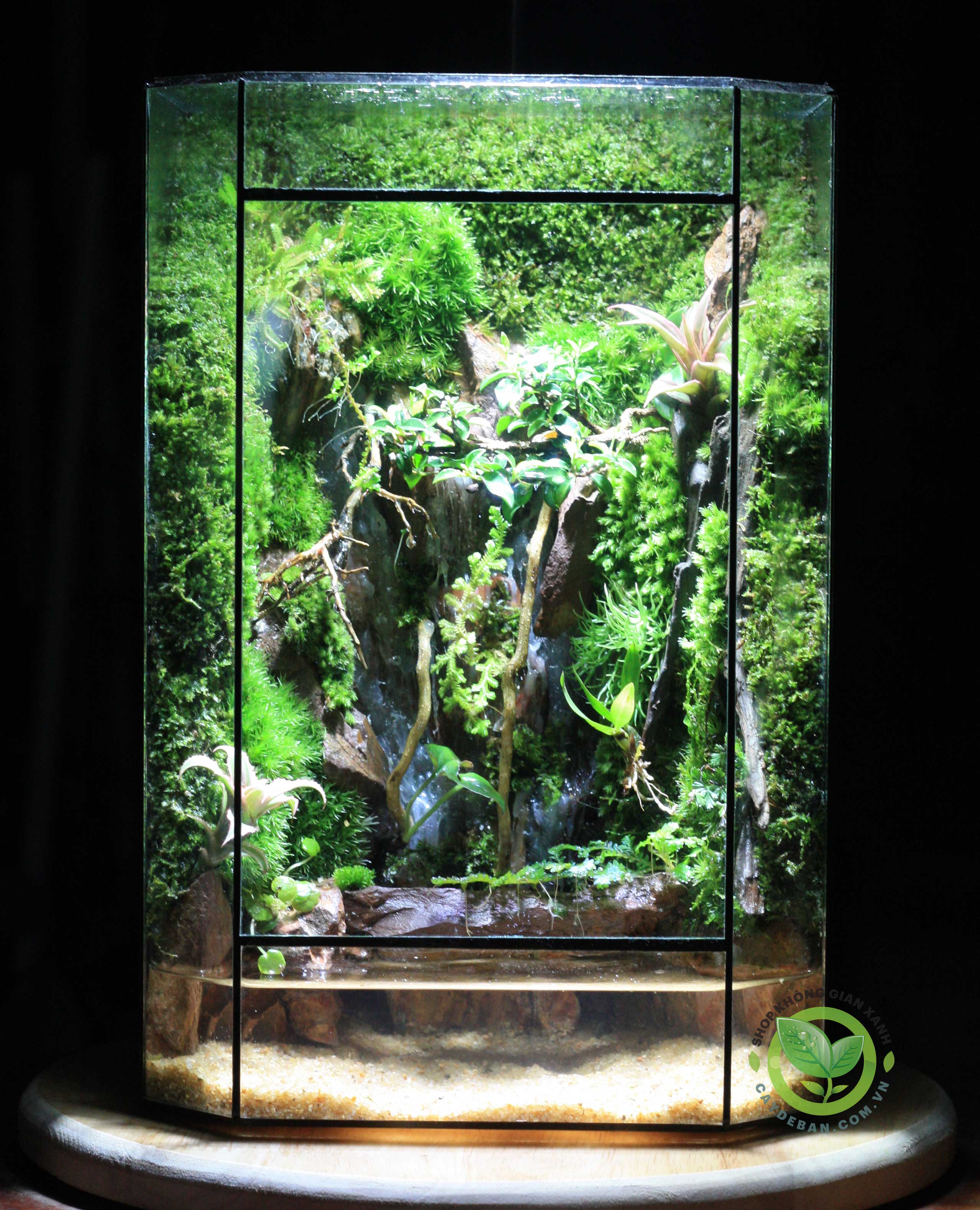 Paludarium-MS14-nuoc-tinh