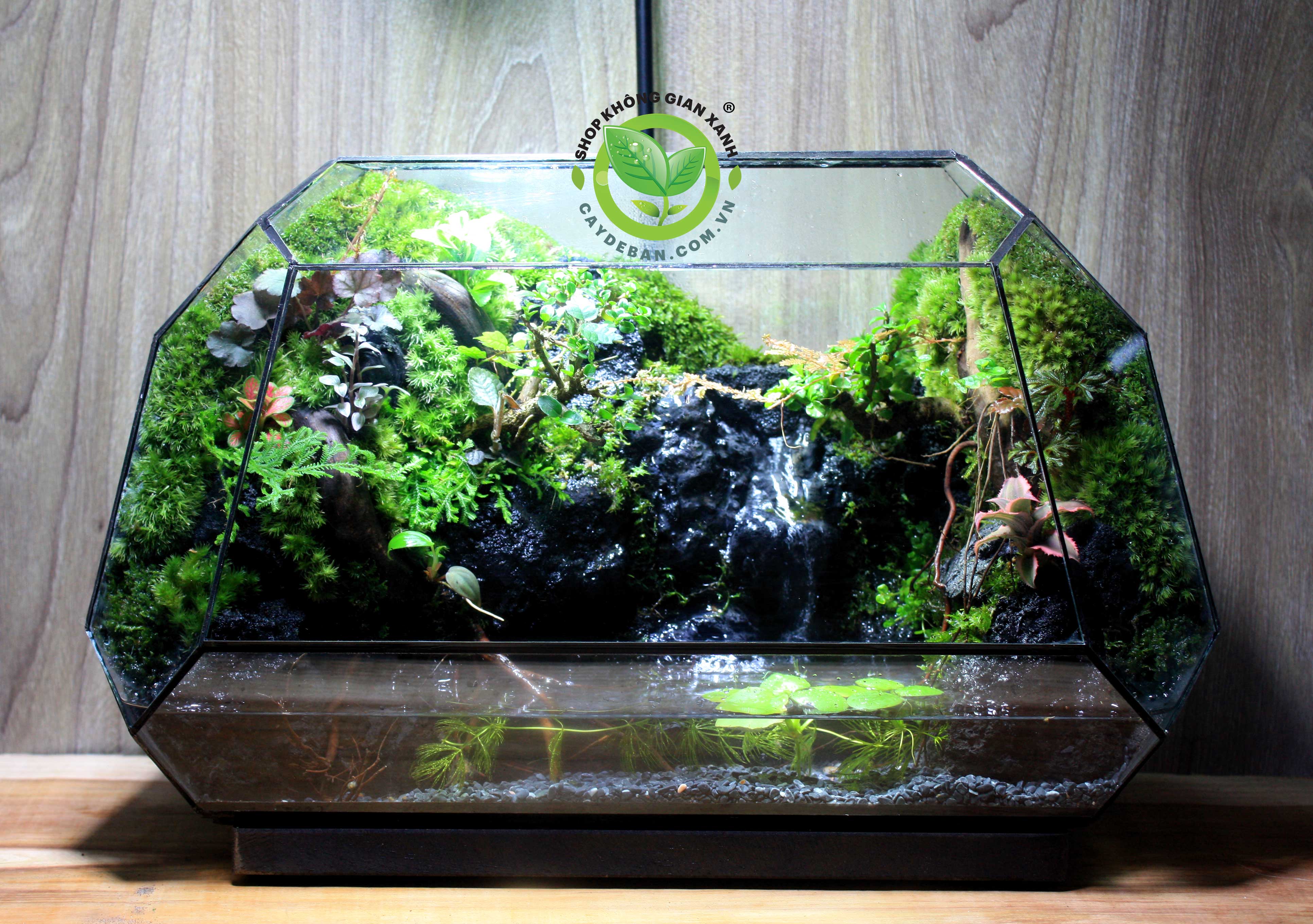 Paludarium/Bán cạn Đa Giác P104