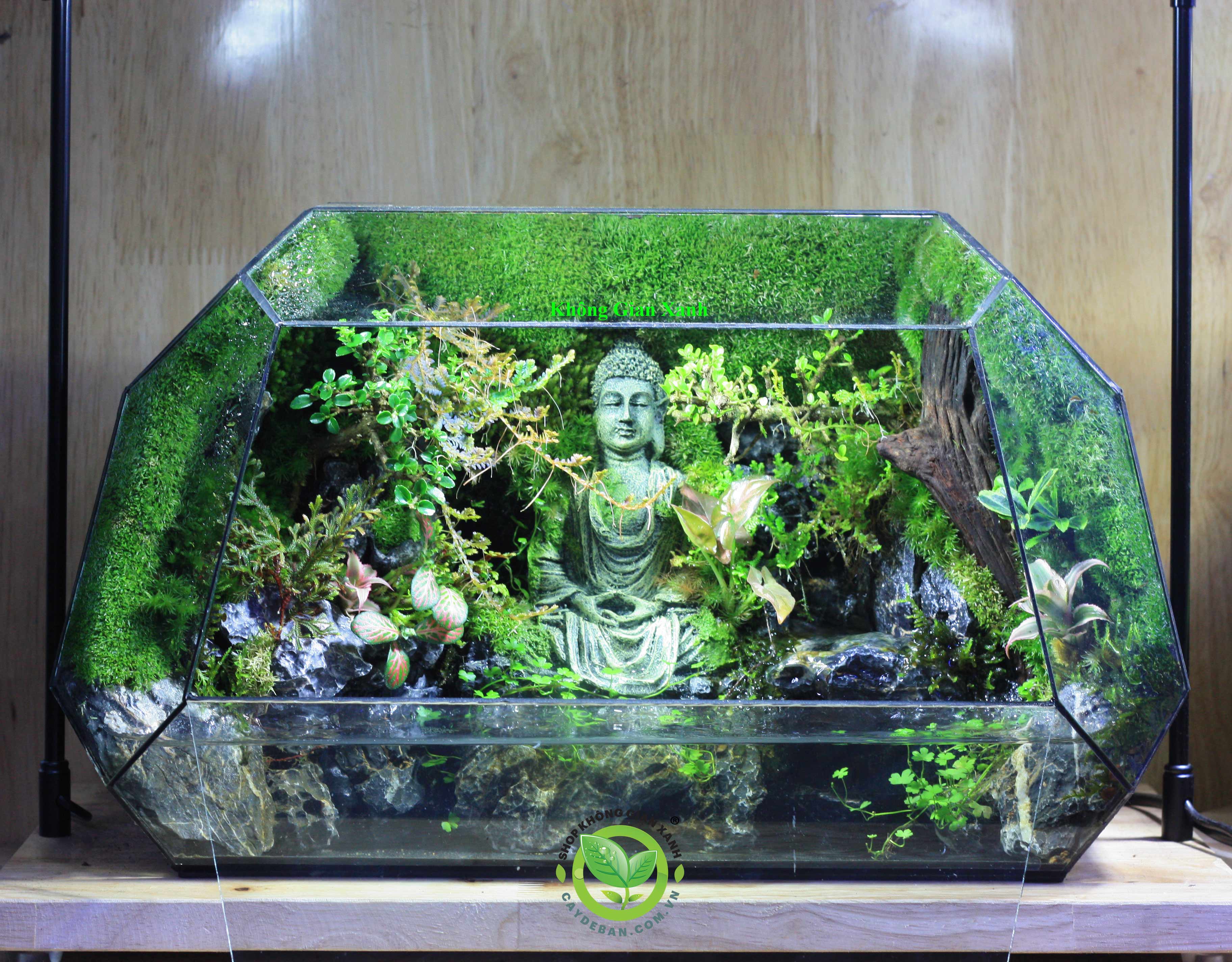 Paludarium - Bán cạn thác nước MS10