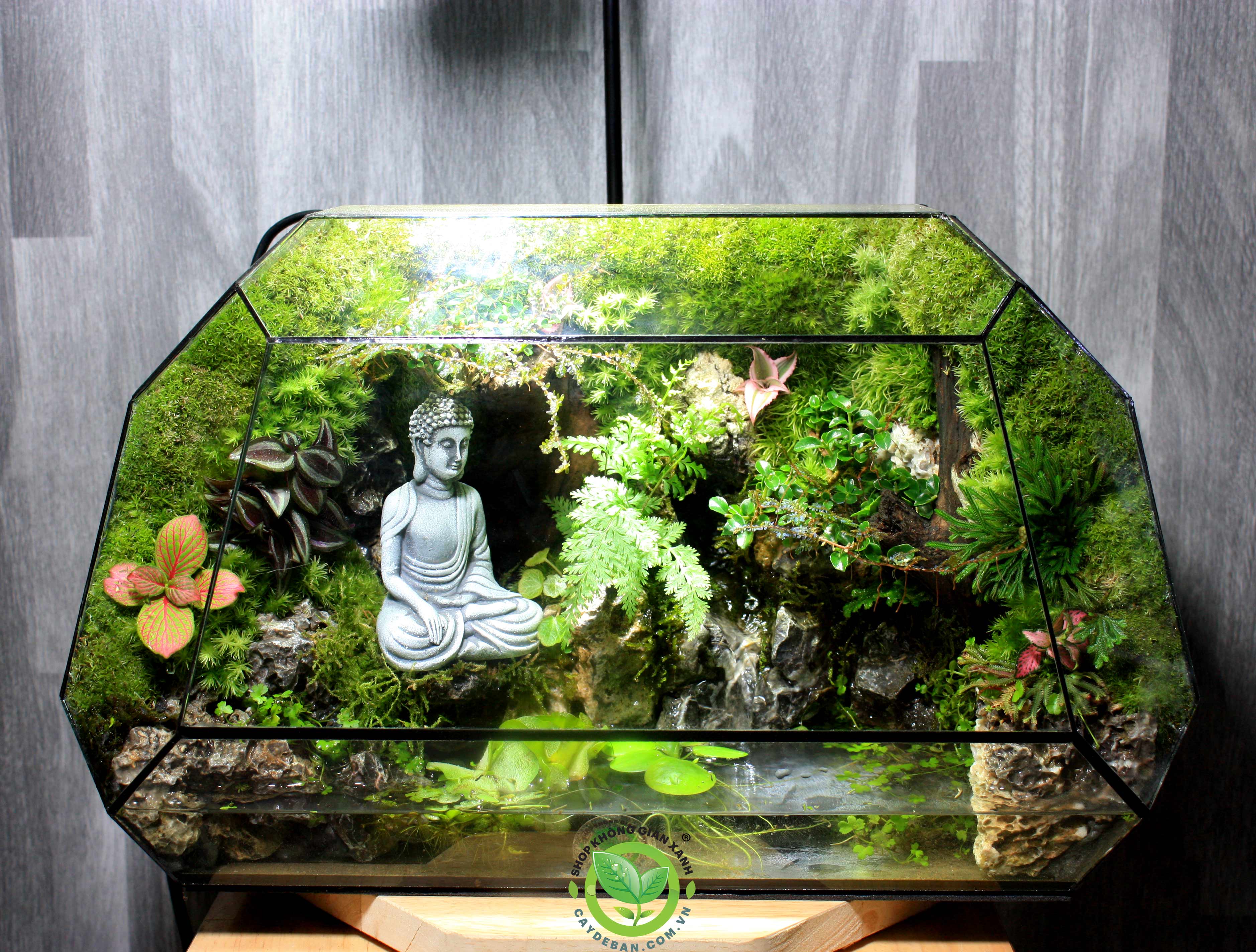 Paludarium-MS10-thac-nuoc