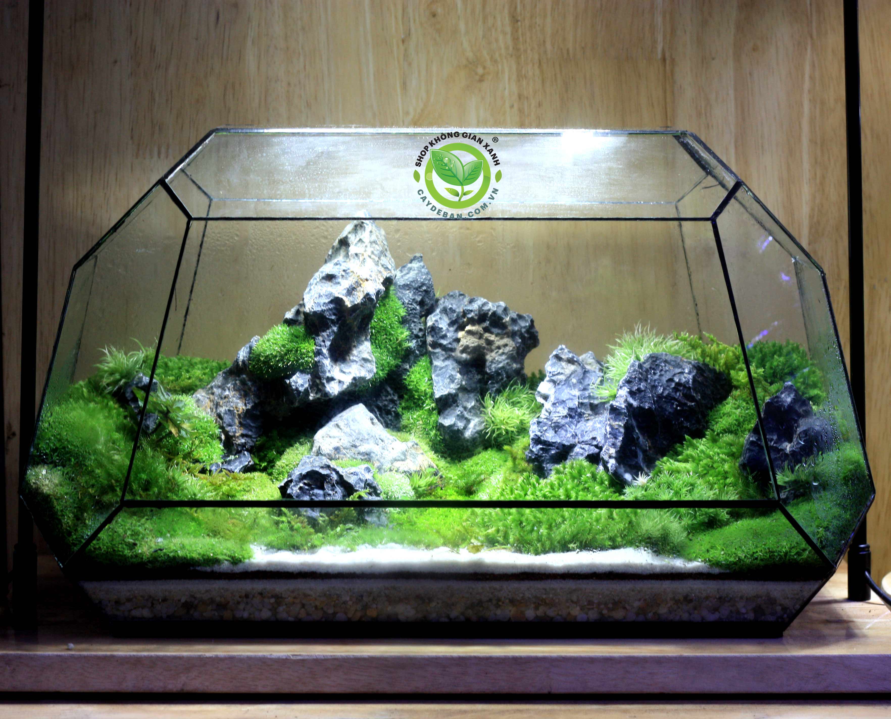 Terrarium Đa Giác T10.2 