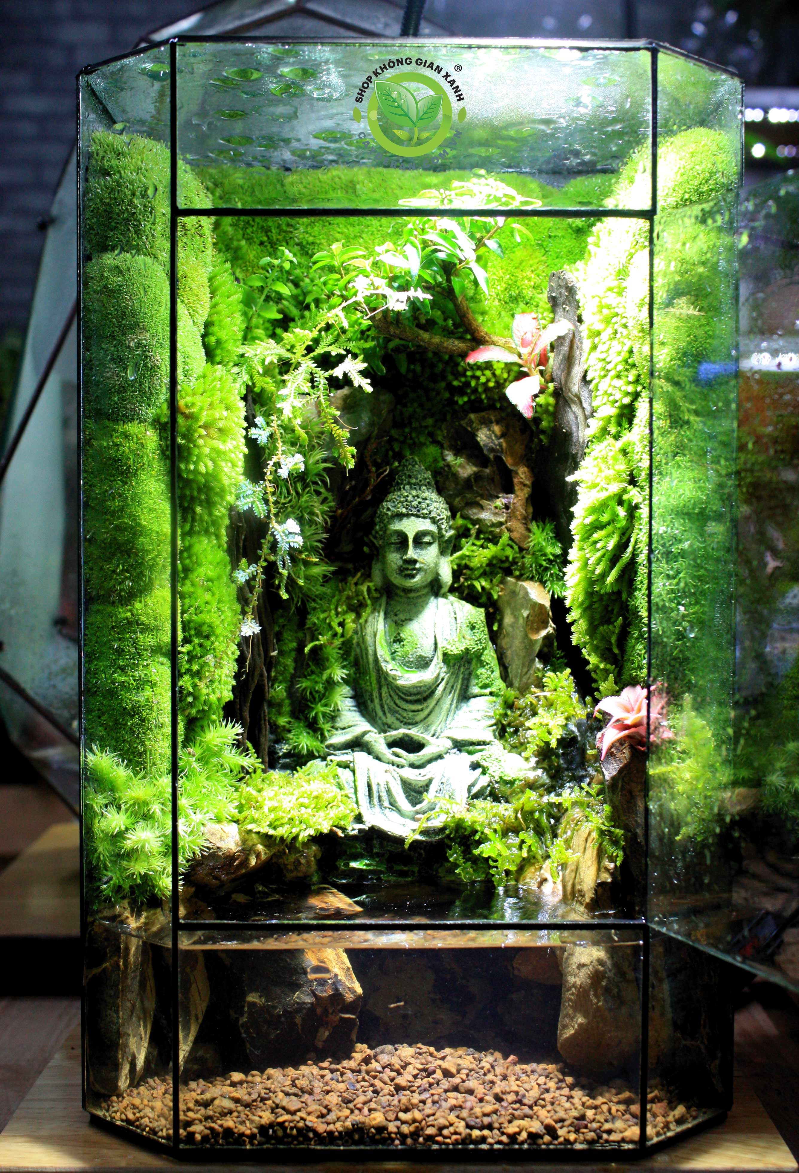 Paludarium-MS14.1-thac-nuoc