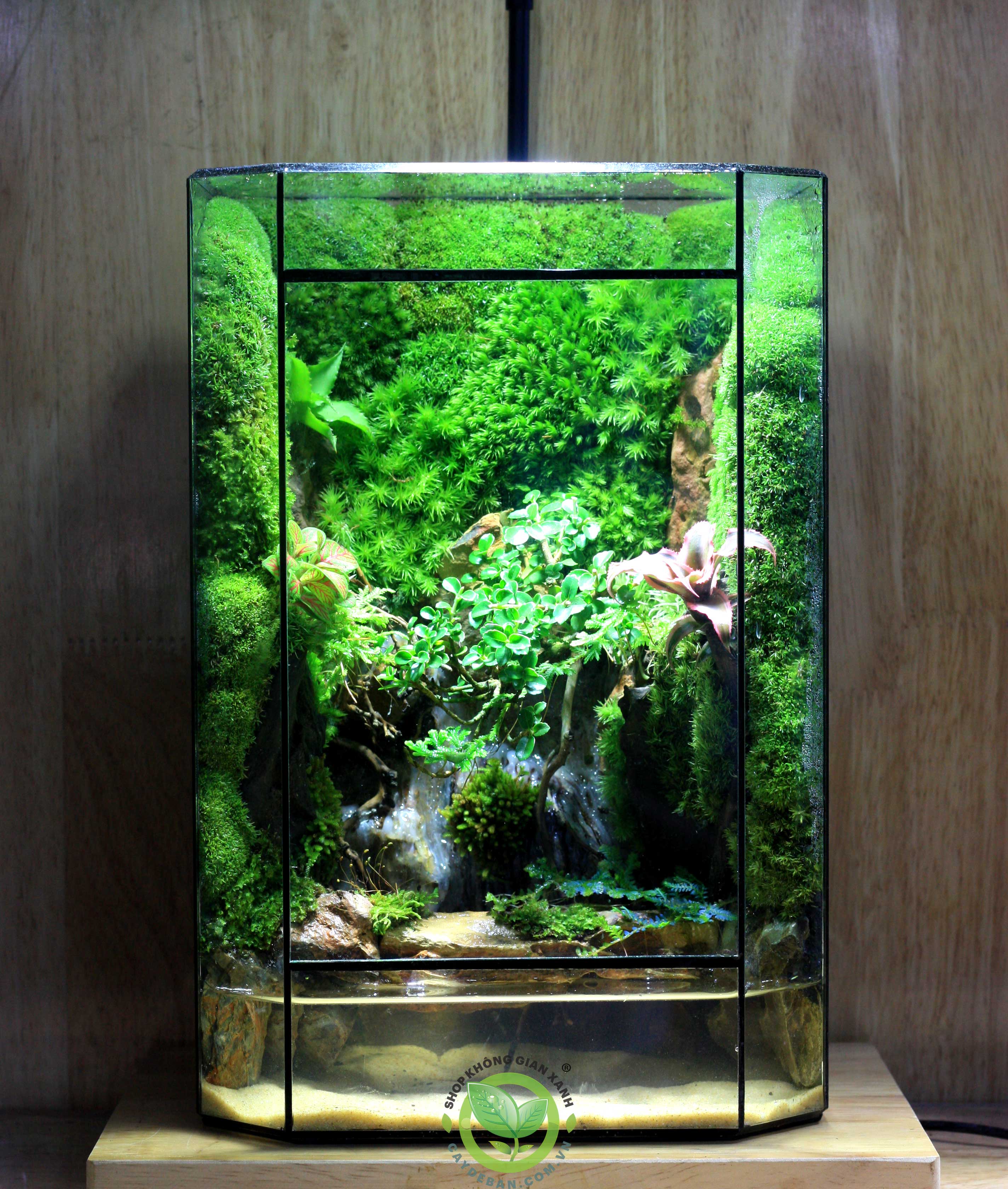 Paludarium-MS14-nuoc-tinh