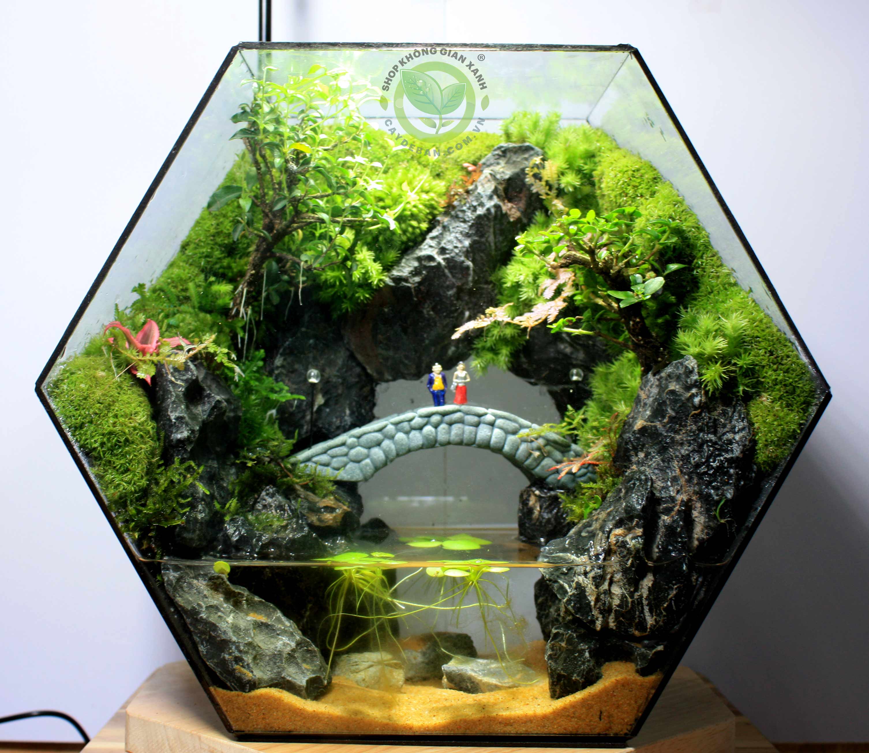 Paludarium-MS33-cau