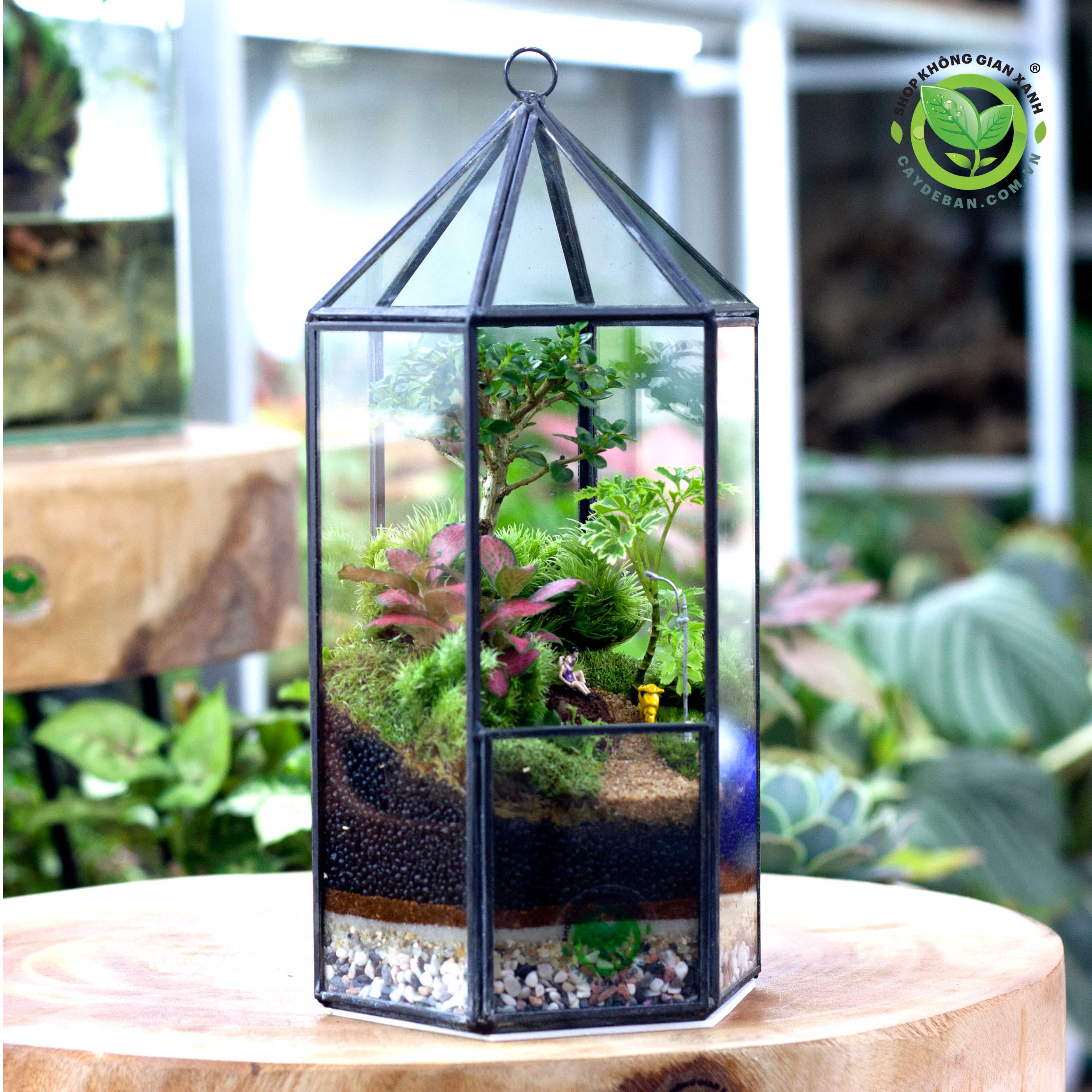 terrarium-da-giac-tru-luc-giac-b