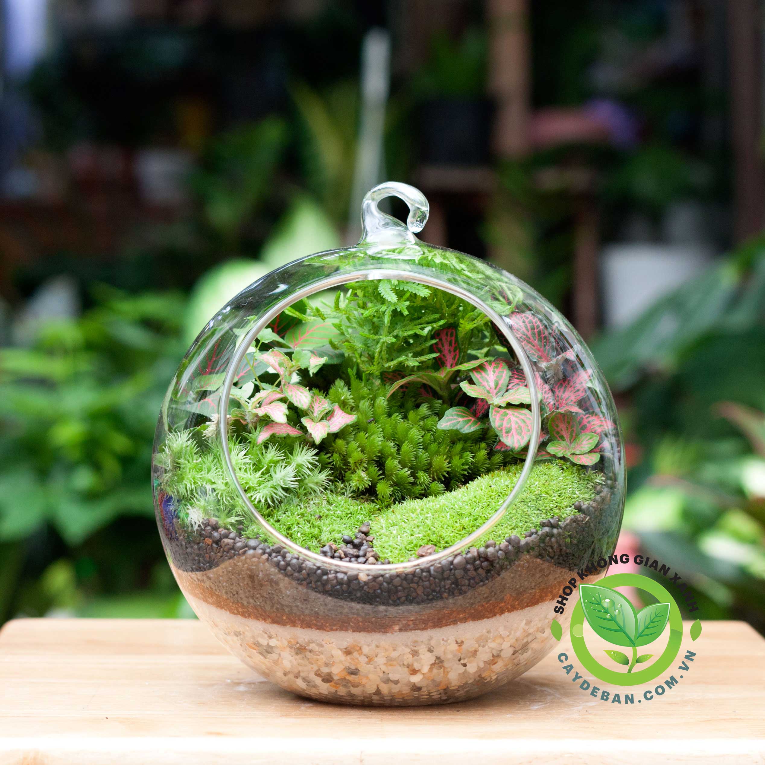 terrarium-qua-cau-treo