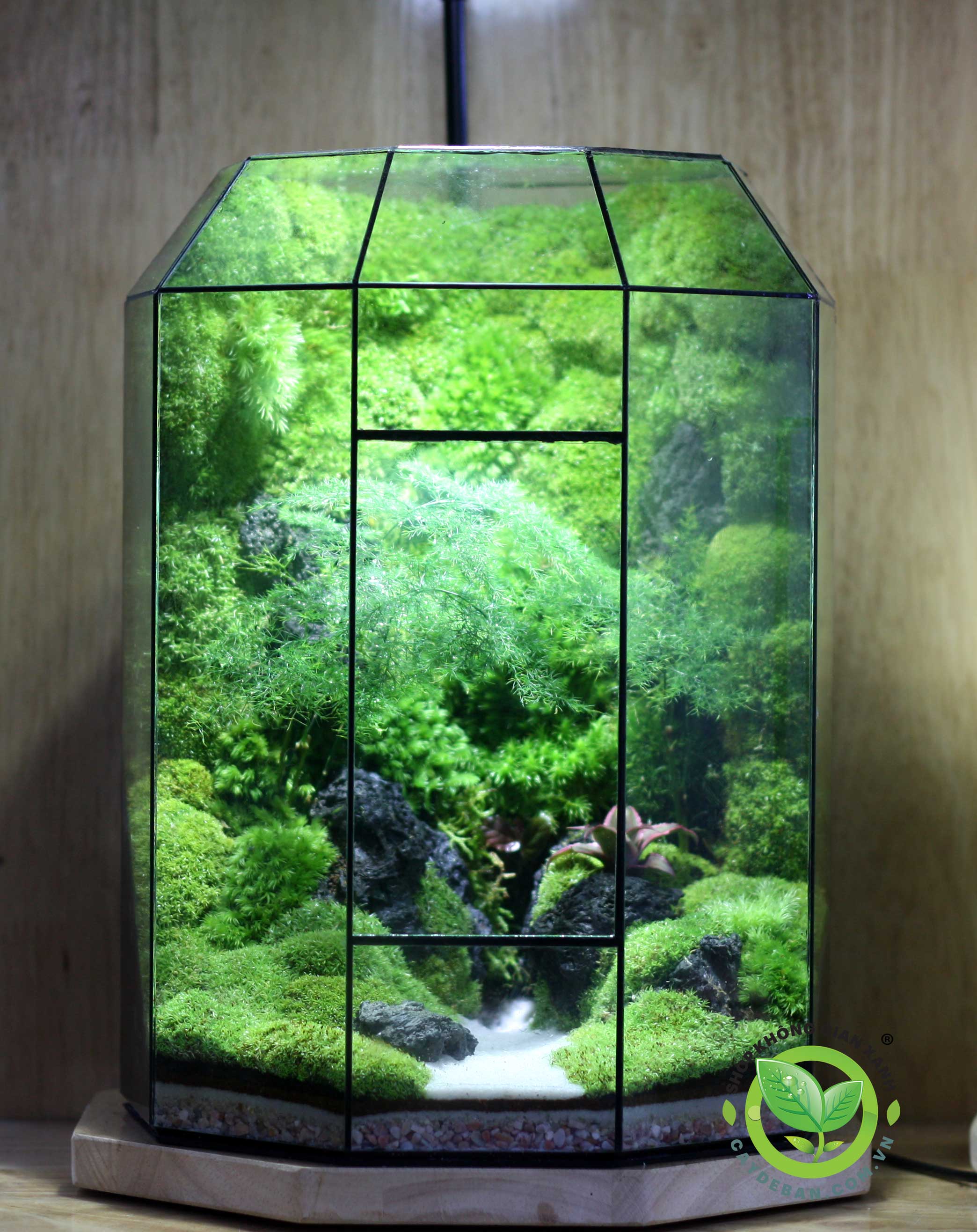 Terrarium Đa Giác 17.2