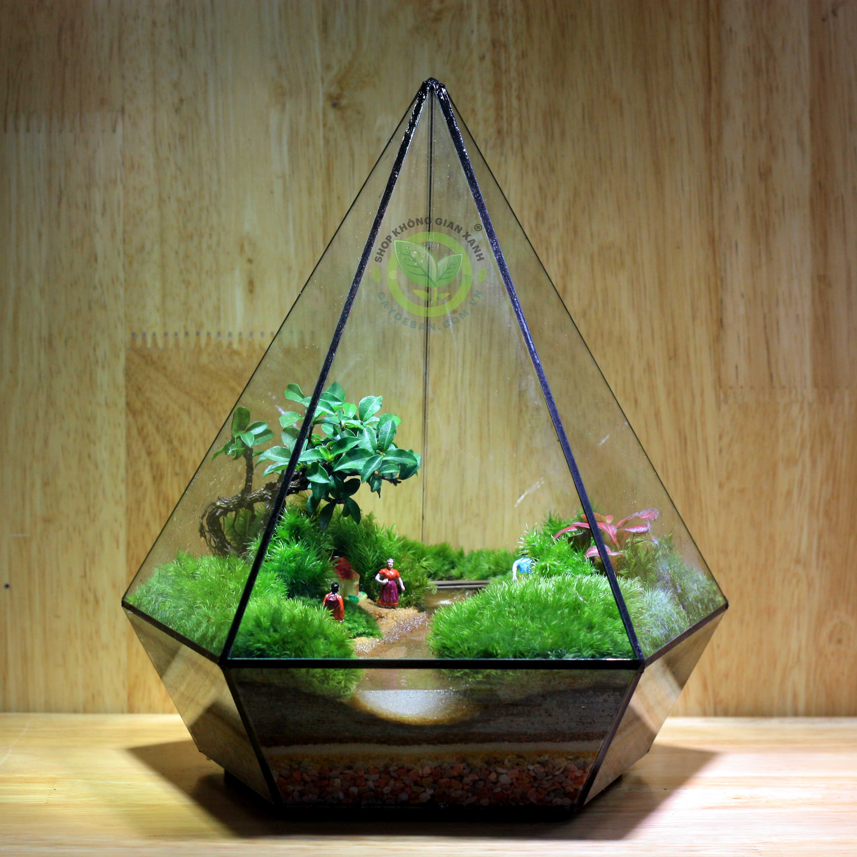 Terrarium Đa Giác MS15 - Đồng Quê