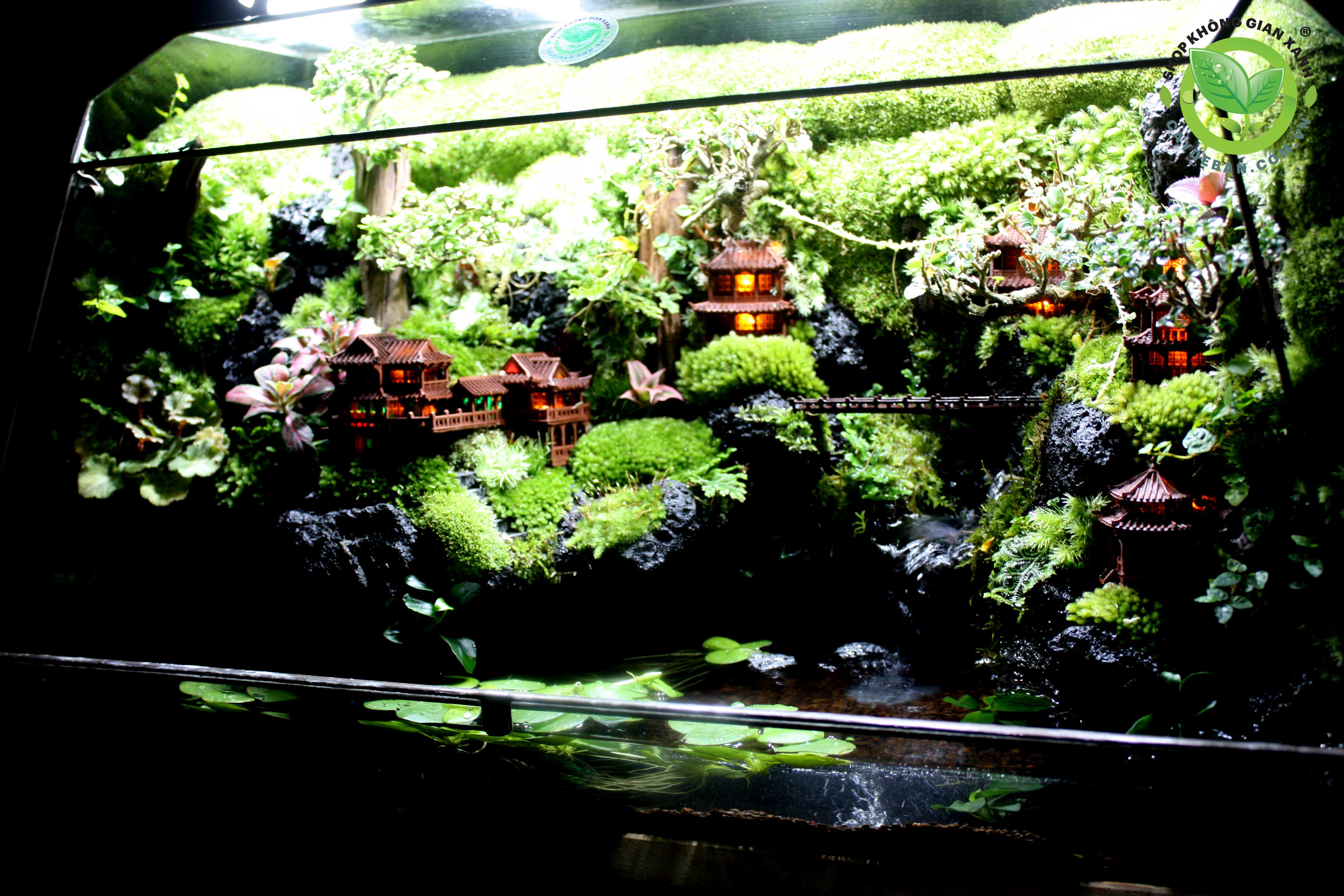 paludarium-vulcan-60