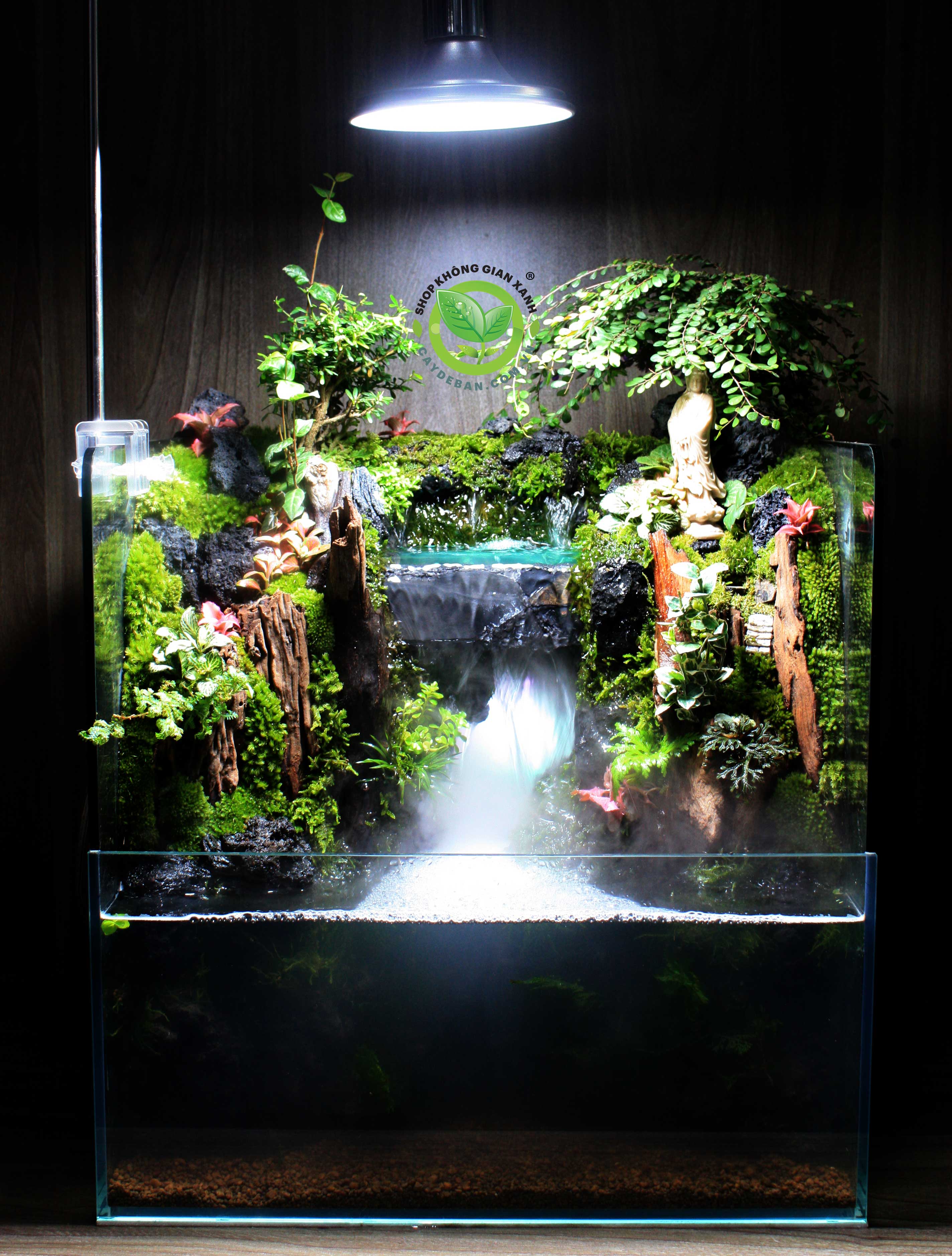 PALUDARIUM - BÁN CẠN HỆ MỞ