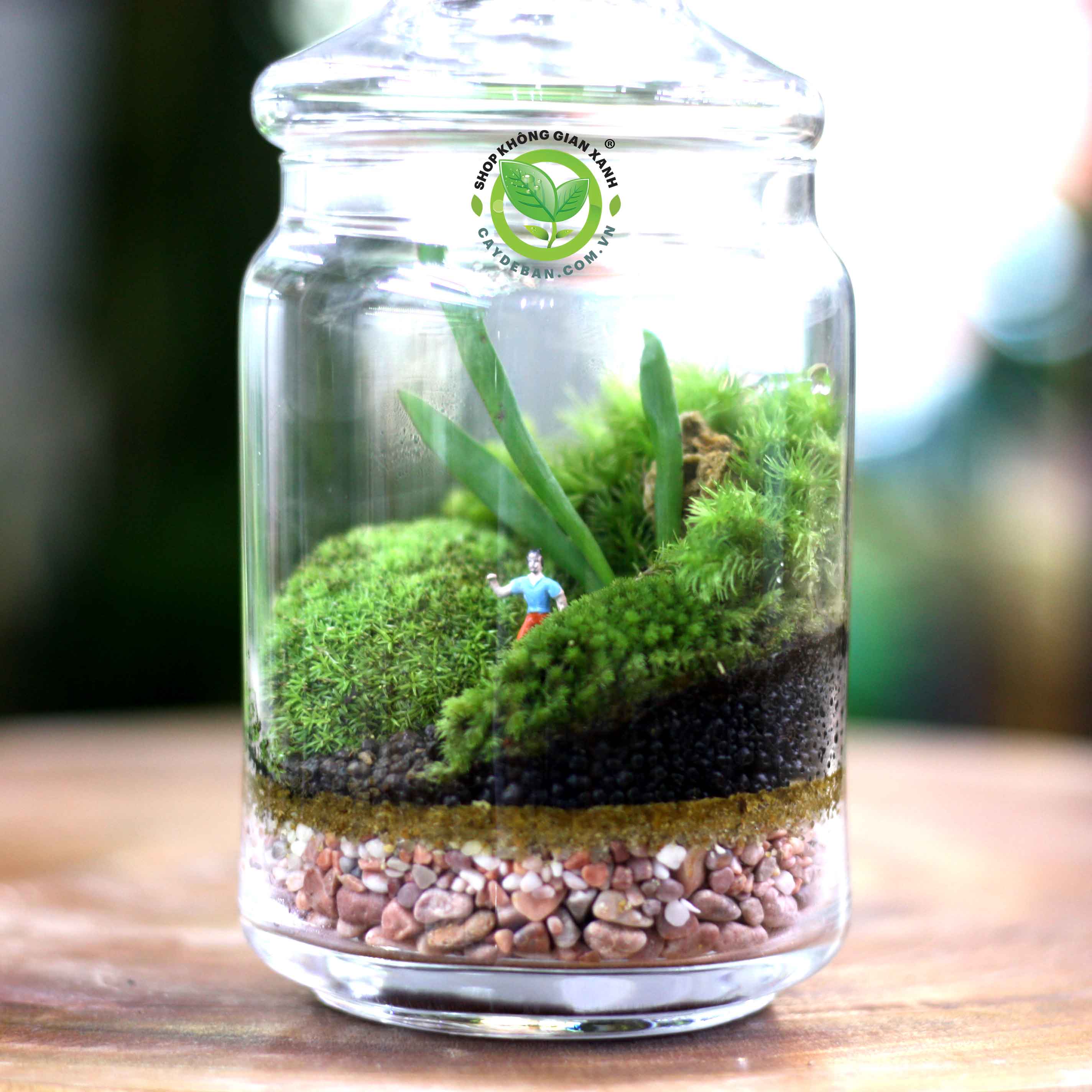 terrarium-nap-kin-17