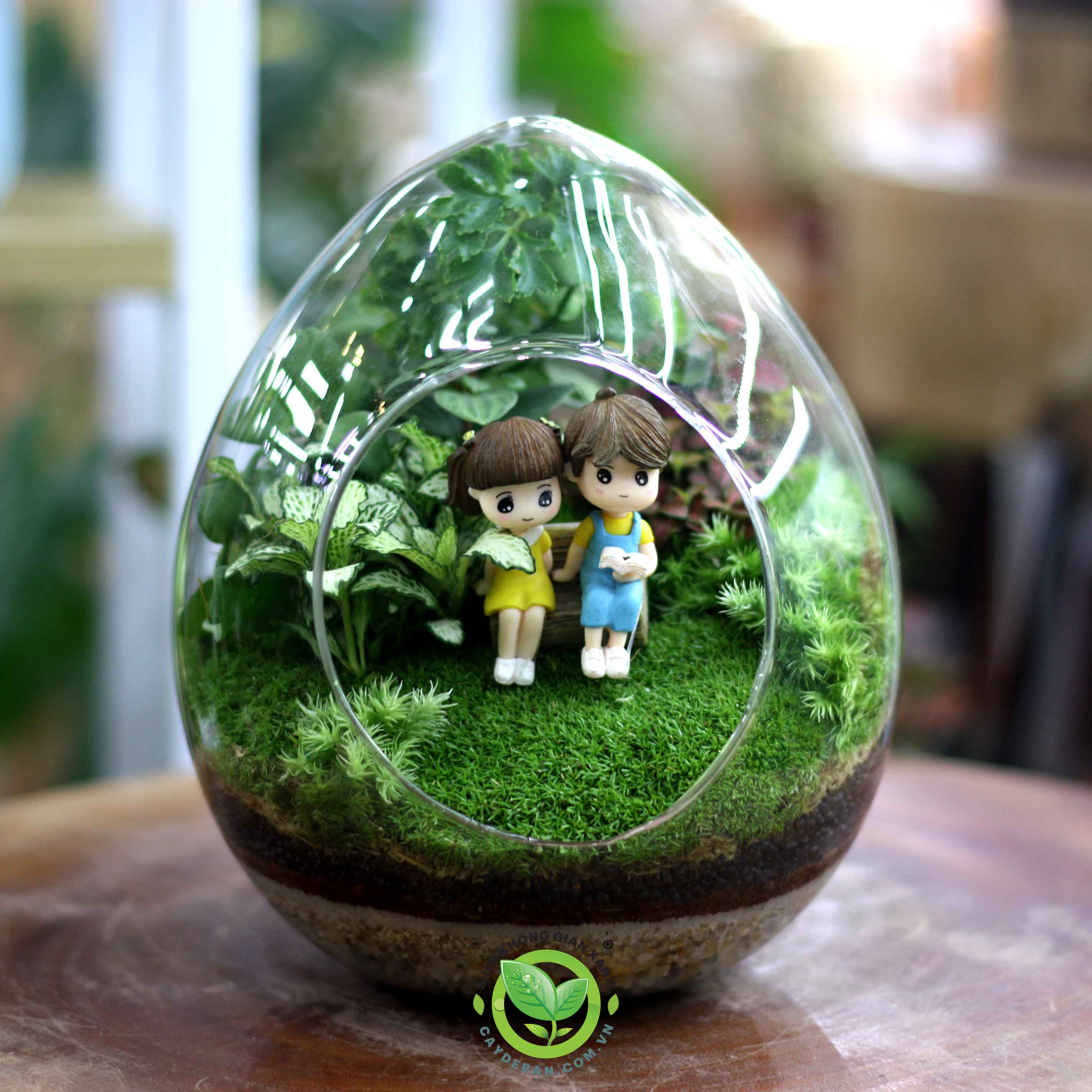 Terrarium Quả Trứng trung