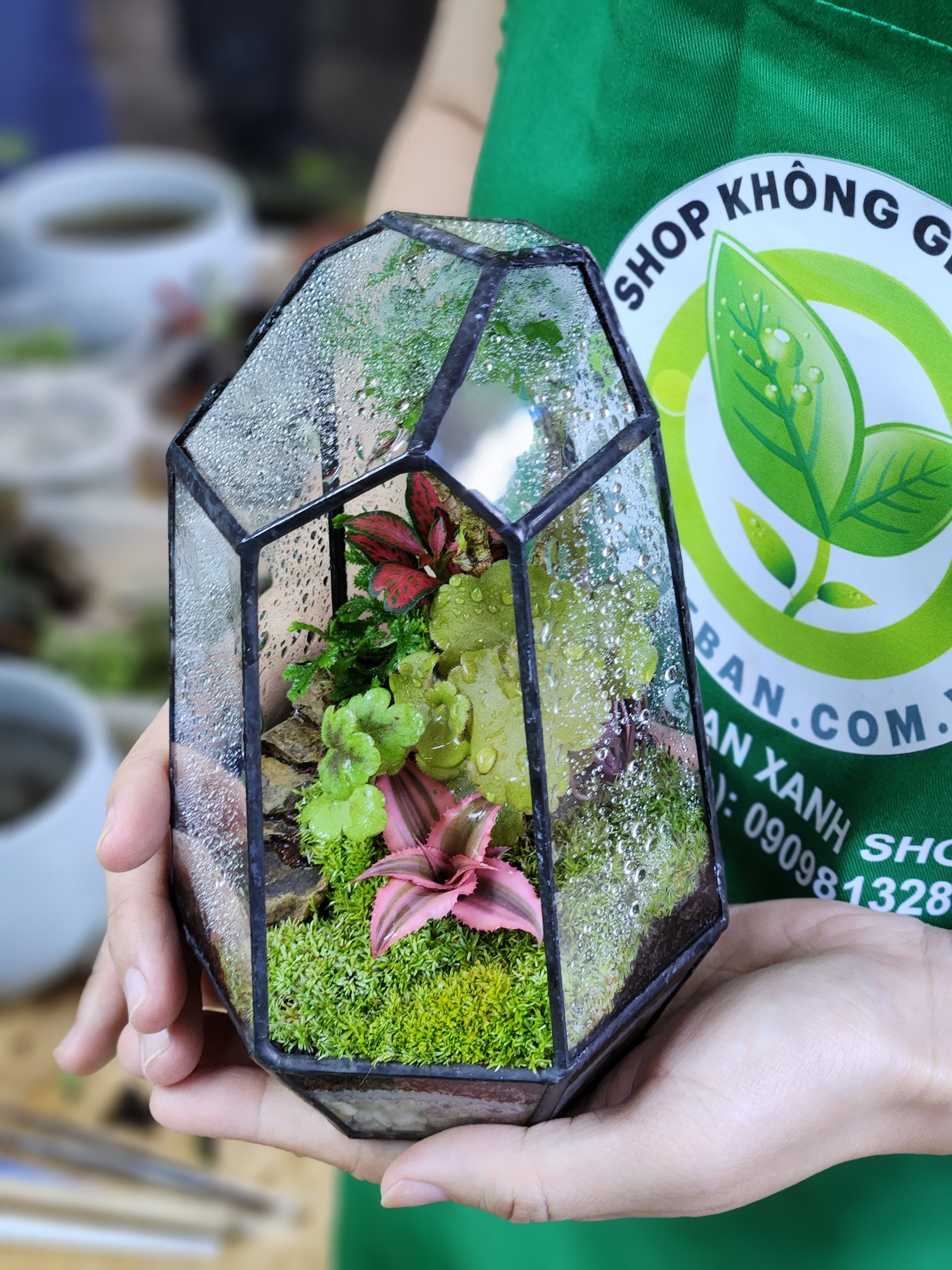 Workshop Terrarium 26.02.23 K2