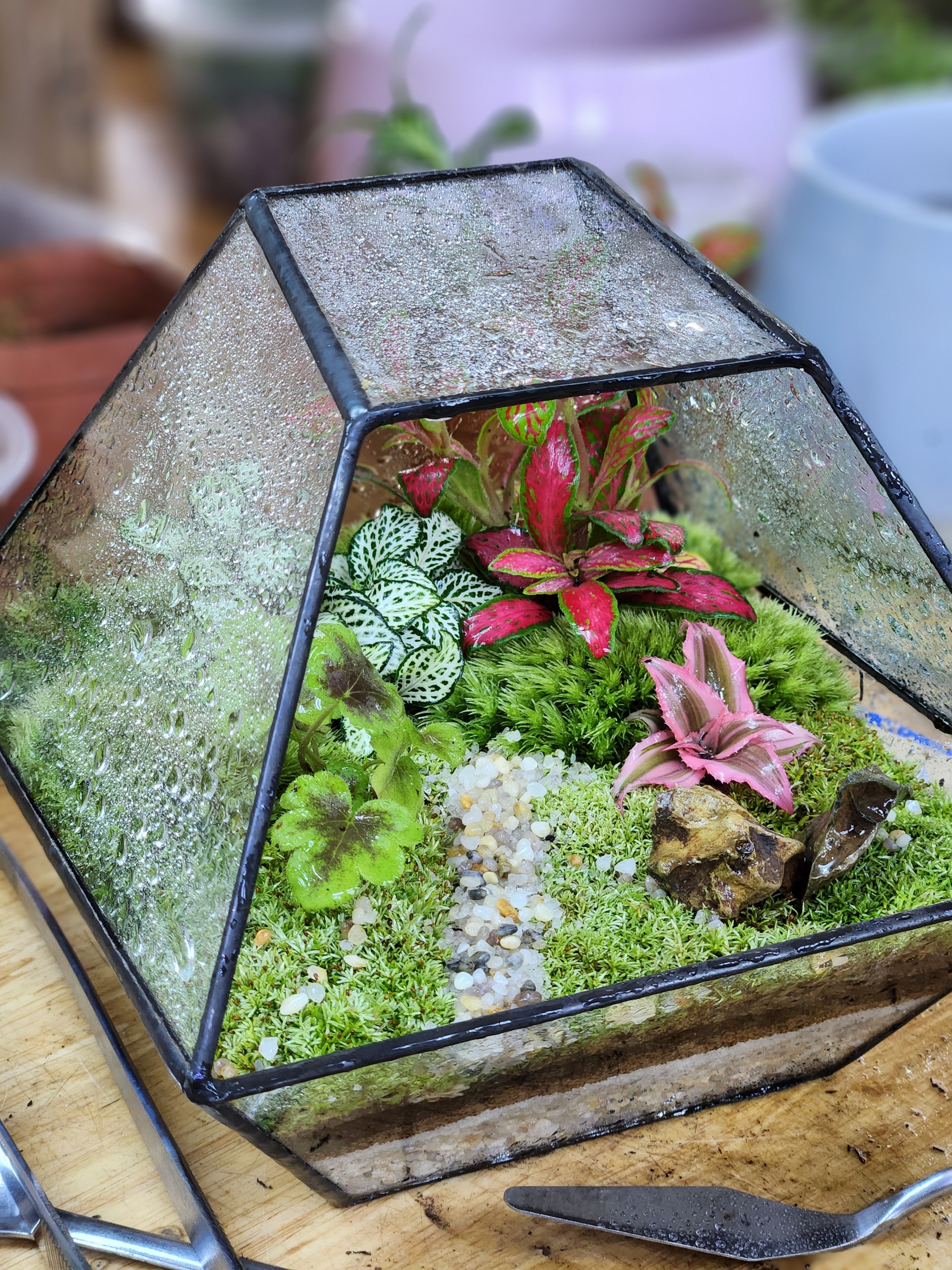 Workshop Terrarium 26.02.23 K2