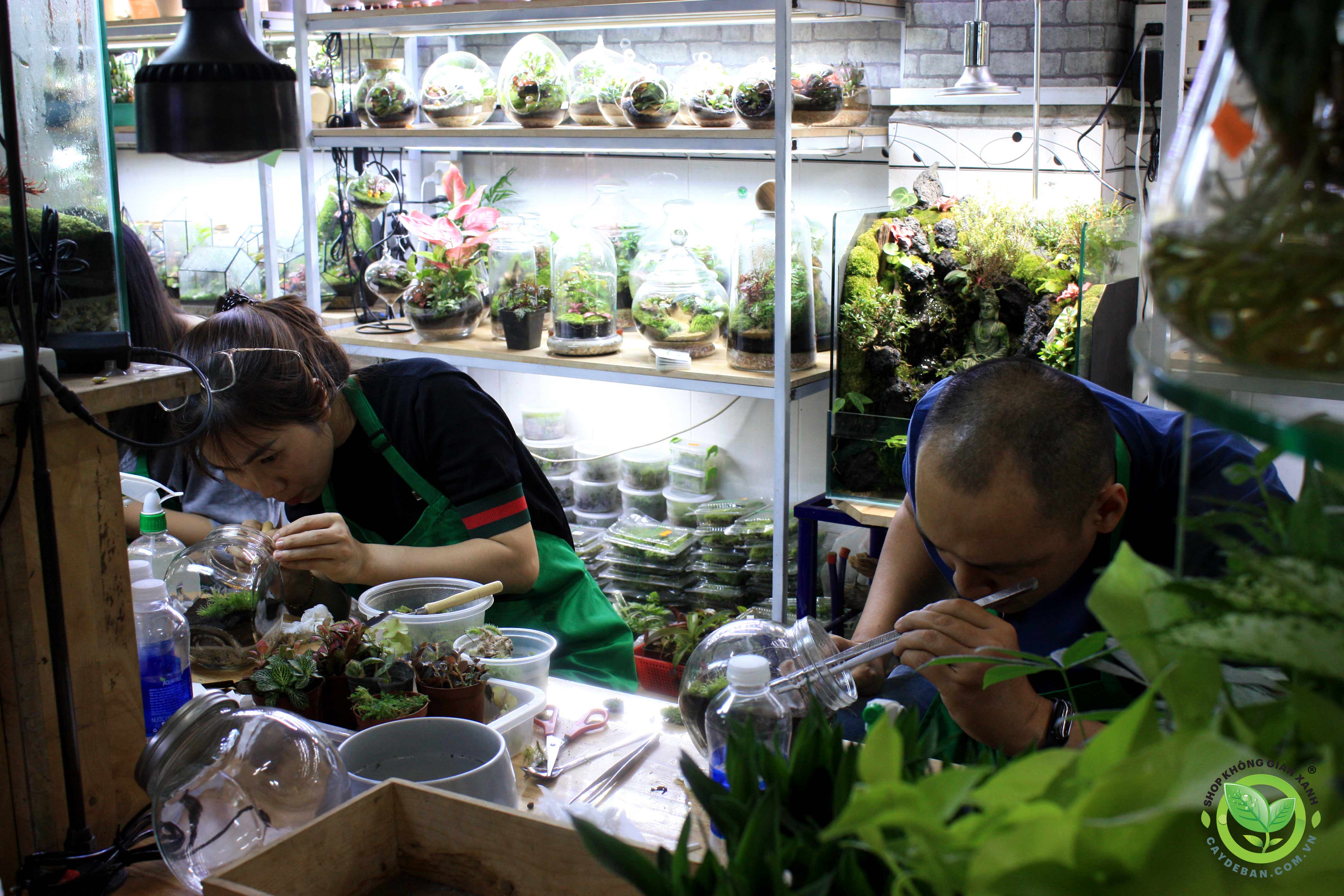 Workshop Terrarium 26.02.23