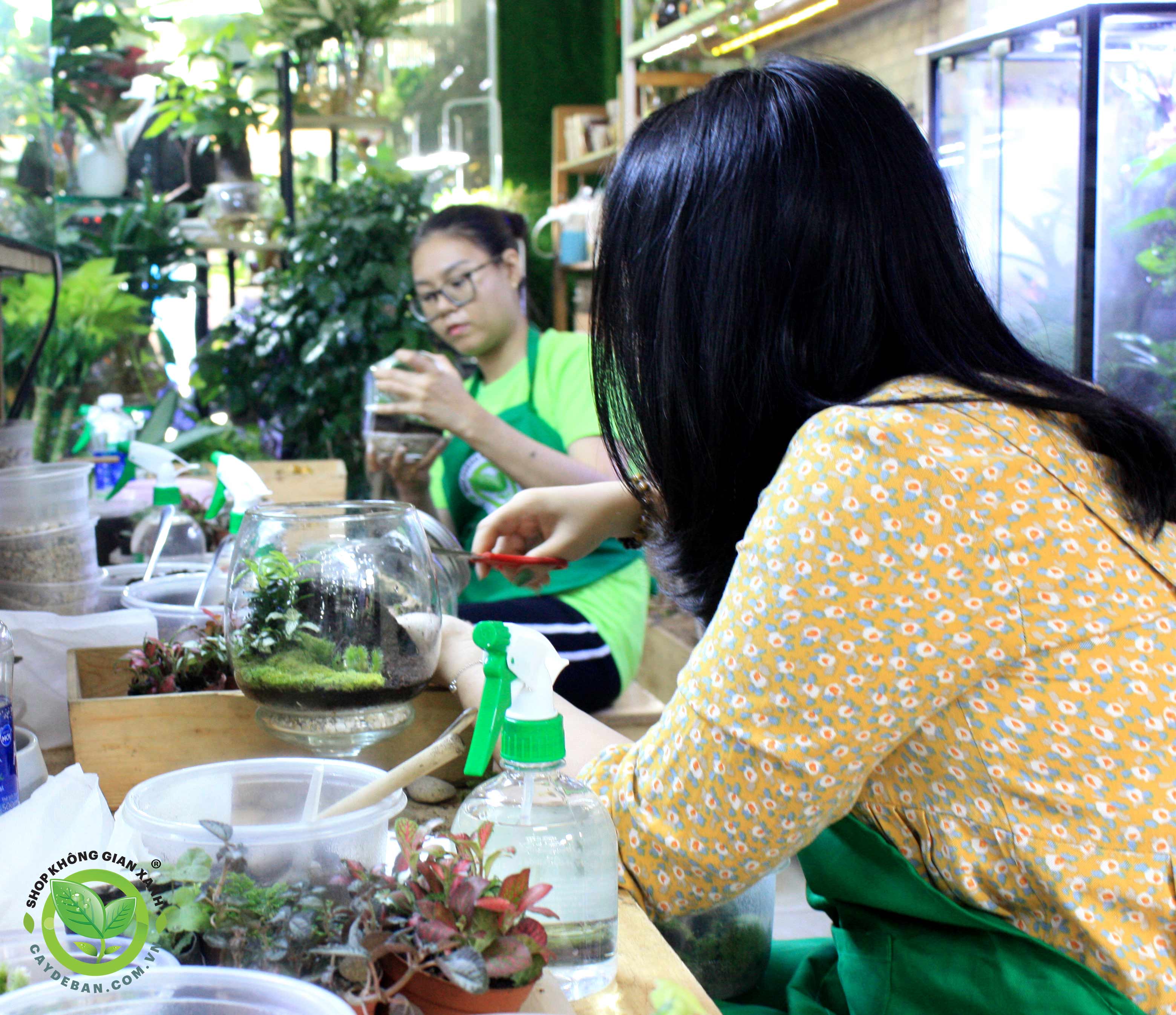 Workshop Terrarium 26.02.23