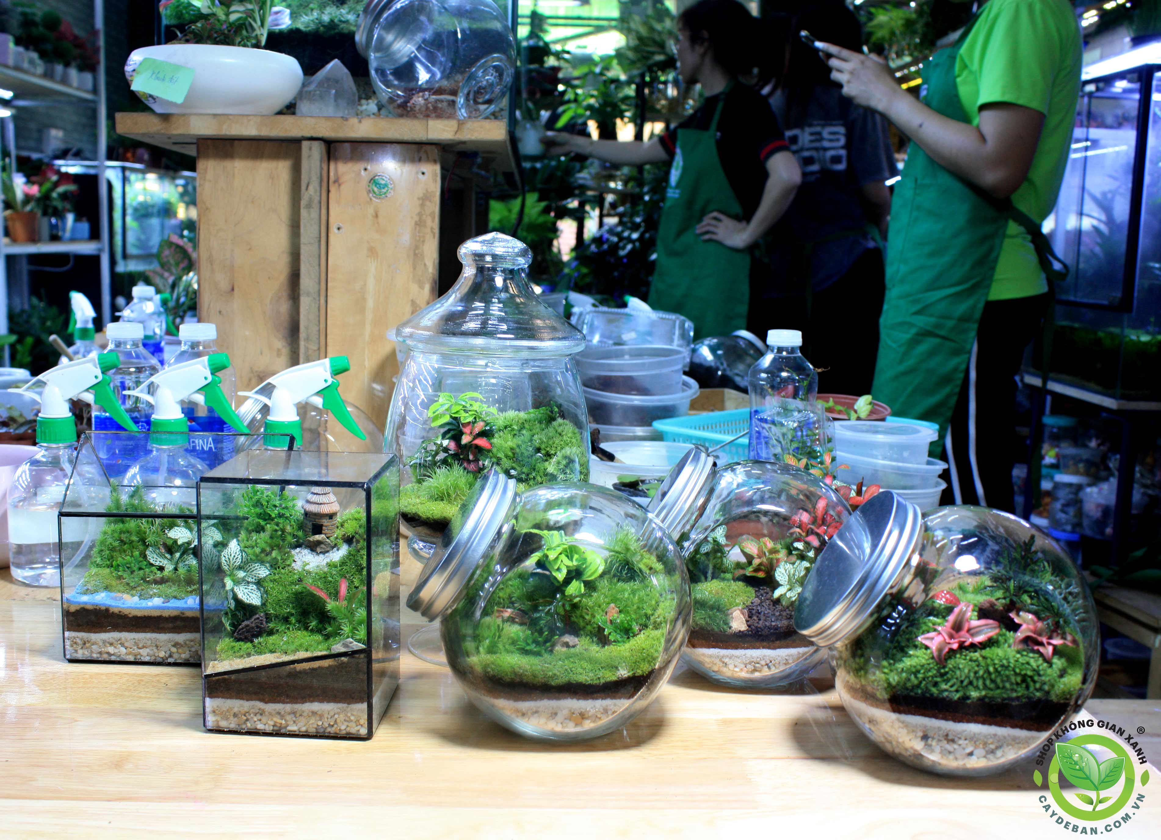 Workshop Terrarium 26.02.23