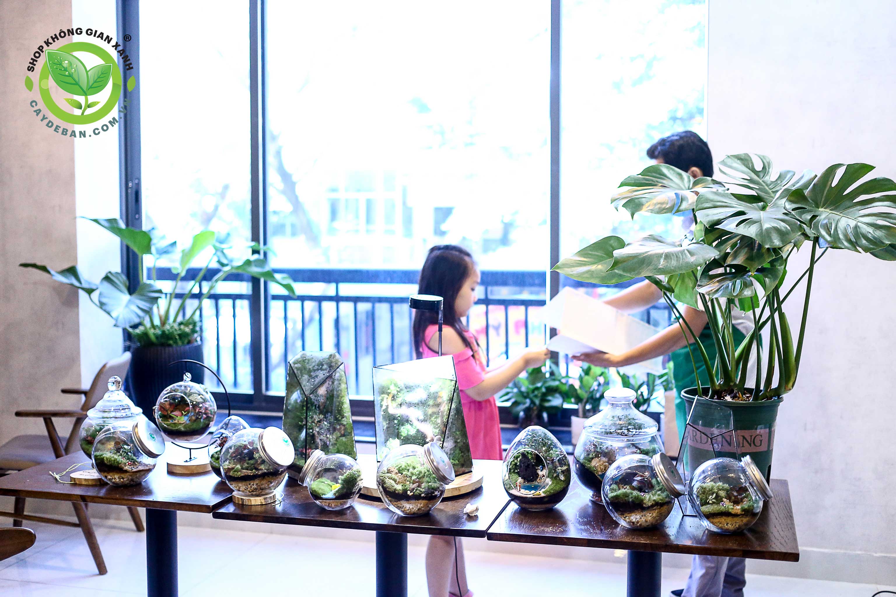 Workshop-Terrarium-17.01.21d